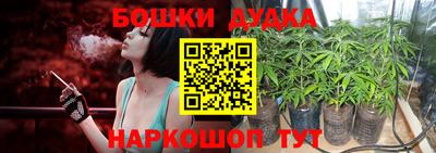 ешки Новодвинск