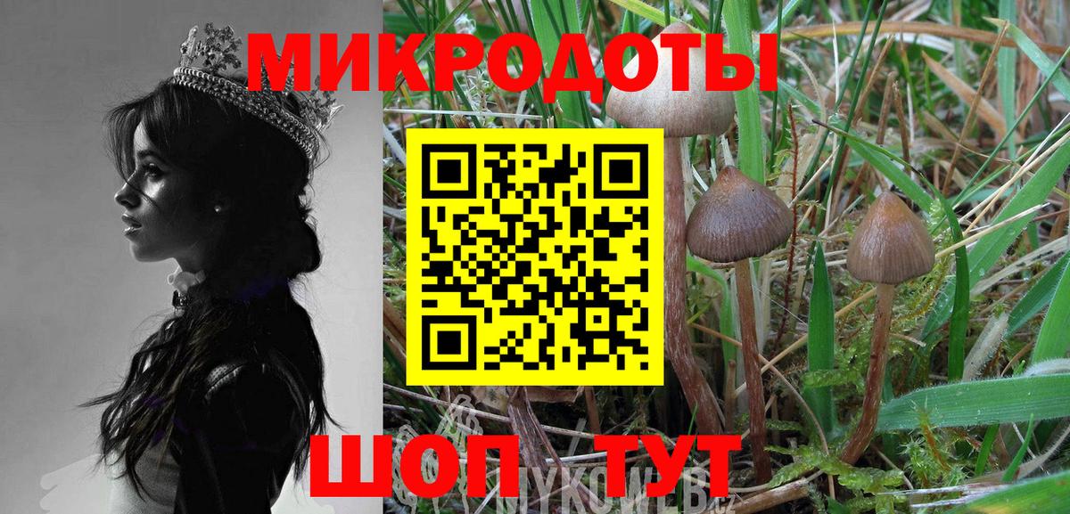 Асбест  купить наркотики цена  Псилоцибиновые грибы GOLDEN TEACHER  Вход с VPN  Псилоцибиновые грибы Magic Shrooms 